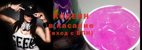 индика Бугульма