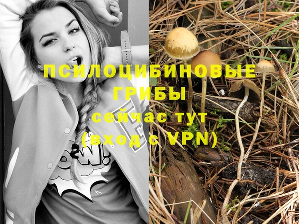 не бодяженный Верхний Тагил