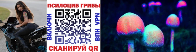 где продают   Горняк  Псилоцибиновые грибы Magic Shrooms 